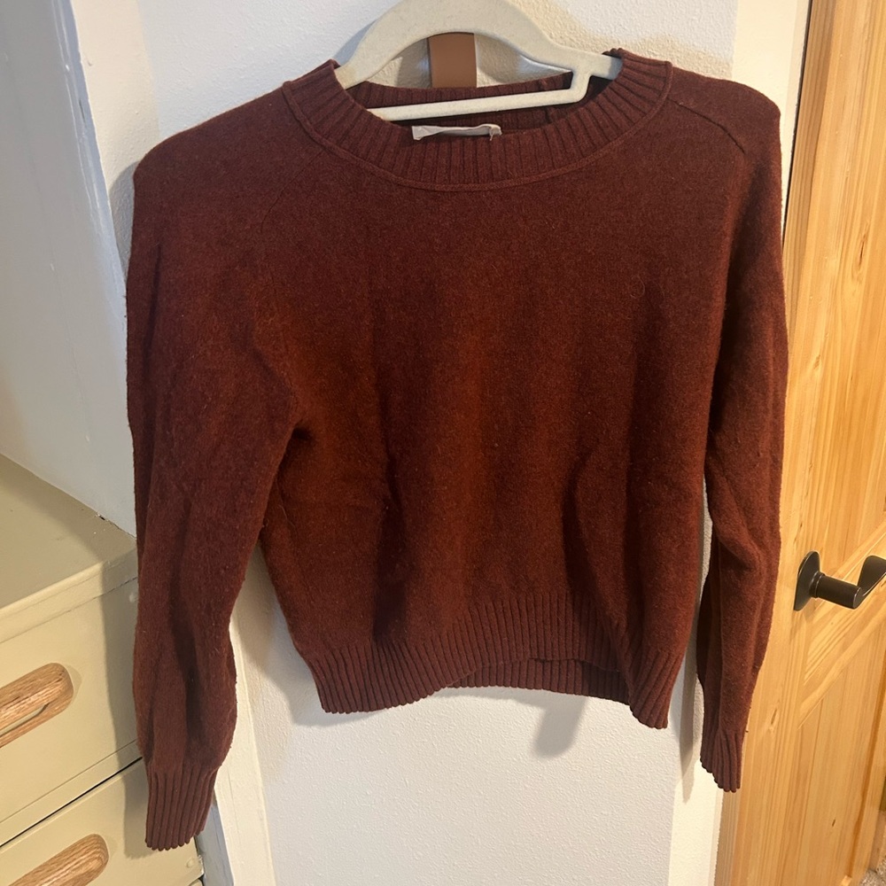 Everlane Crew Sweater
